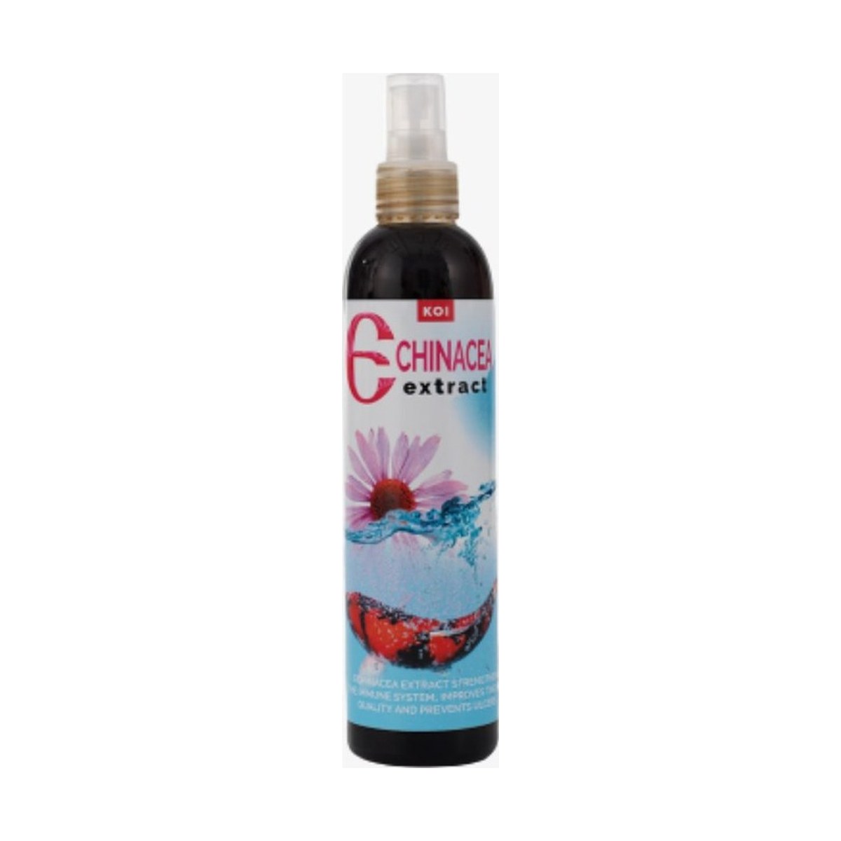 Echinacea extract